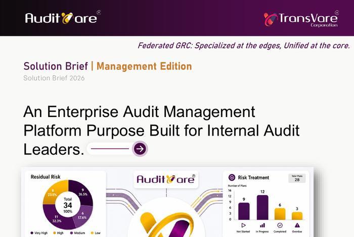 AuditVare Brief Thumbnail